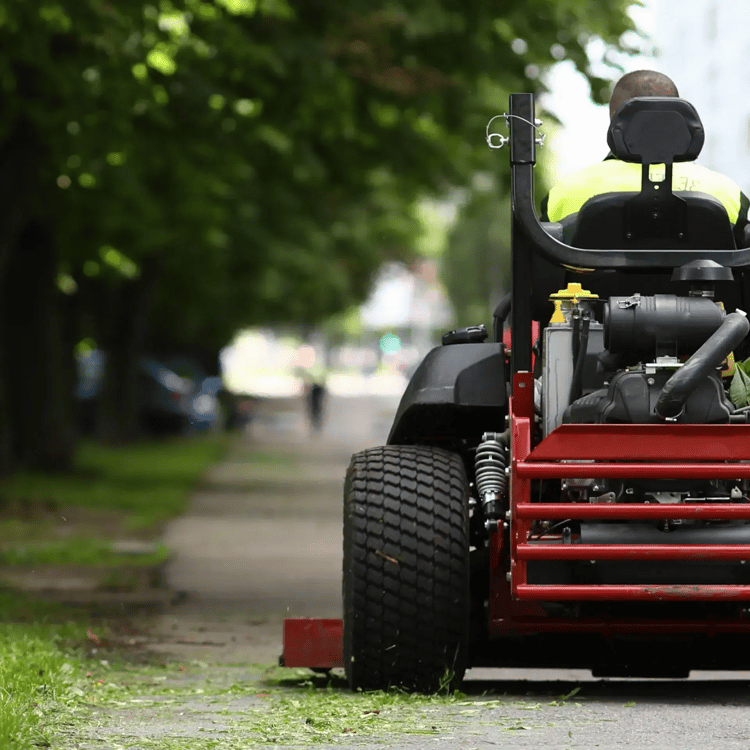 Reinders-PreviewImage@3x