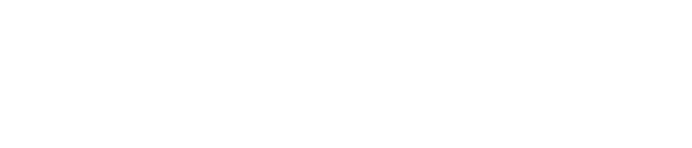 next-level-logo@2x[1]